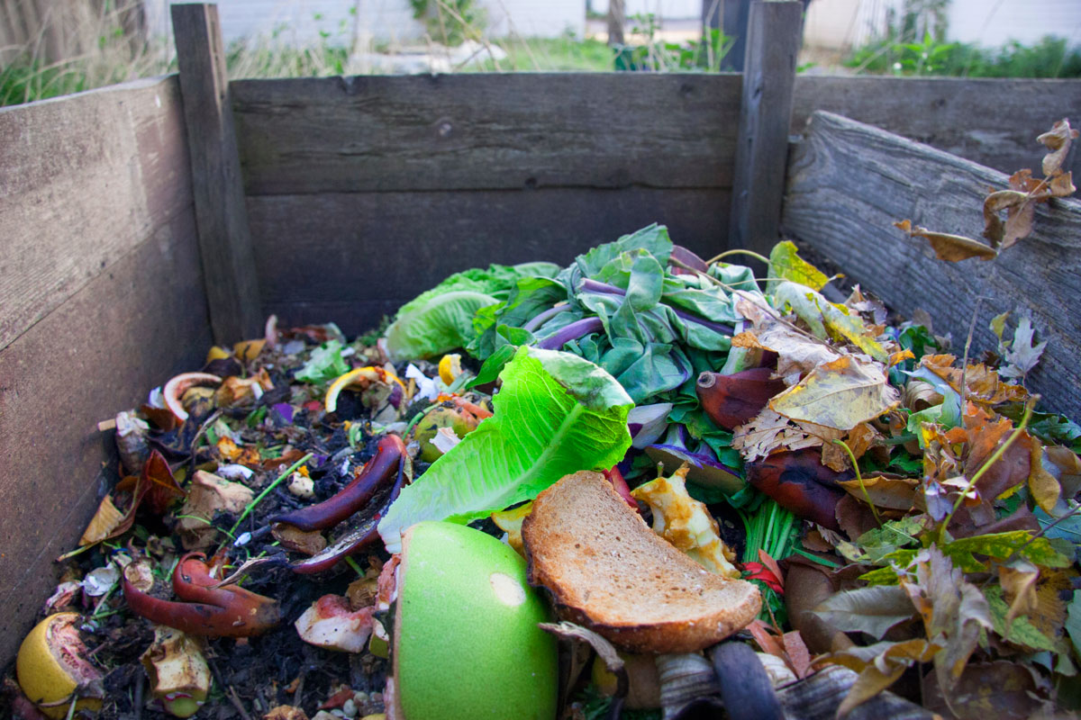 Yard Waste and Composting Saint Paul, Minnesota